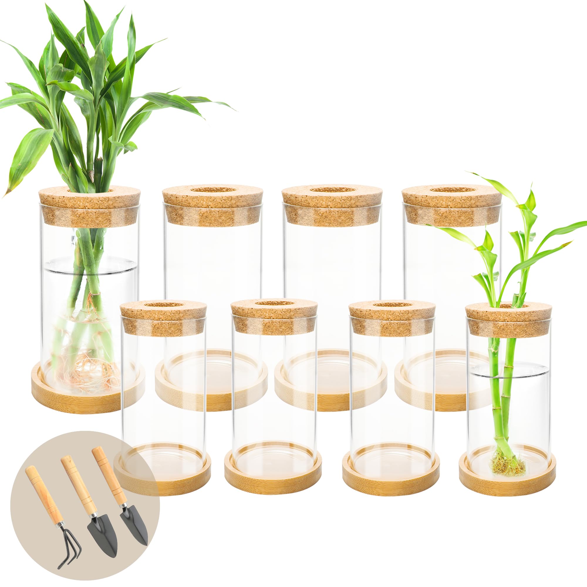 Photo 1 of **MISSING PARTS**
8 Pcs Plant Terrarium Desktop Glass Planter Plant Propagation Tabletop Propagation Vase Containers with Cork and Wooden Saucer for Growing Hydroponic Plants Garden Home Office Decor-