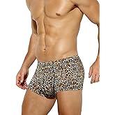 Arjen Kroos Men's Sexy Silky Underwear Printed Trunks Boxer Briefs 1 Pack