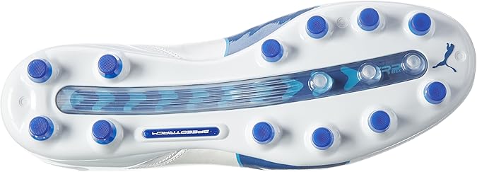 puma evotouch pro ag
