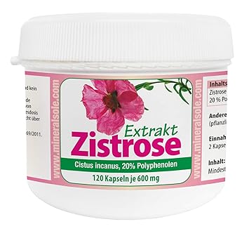 Zistrose Extrakt | Cistus incanus | 120 Kapseln