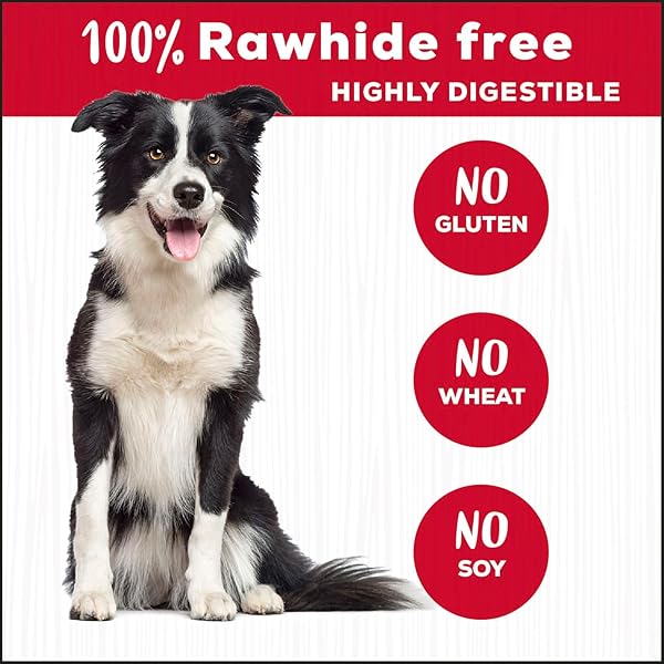 COUNTRY KITCHEN RAWHIDE FREE TWISTS DOG CHEWS, MADE WITH REAL BEEF, 3 COUNT