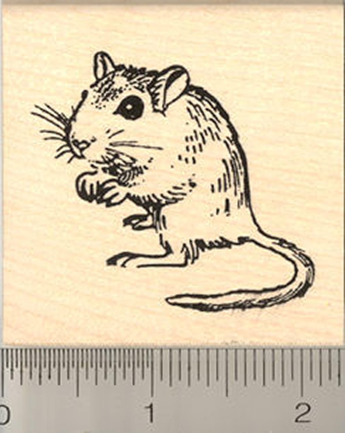 Cute Gerbil Rubber Stamp Arts, Crafts & Sewing