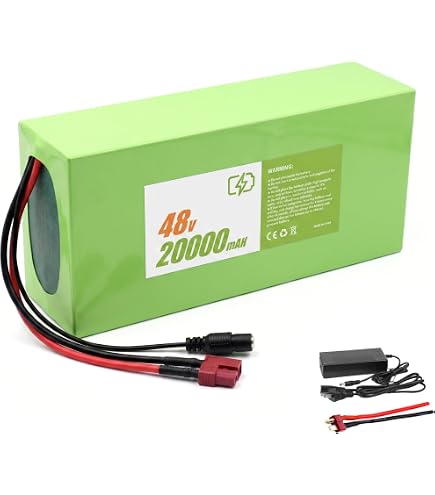 Amazon.com: VISET 48V20Ah Ebike Battery, Battery Pack 36V/48V/10Ah