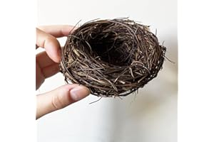 LWINGFLYER 2 Pcs Natural Dried Handmade Rattan Bird Nests for Garden Patio Home Party Wedding Decoration No Eggs (15cm)
