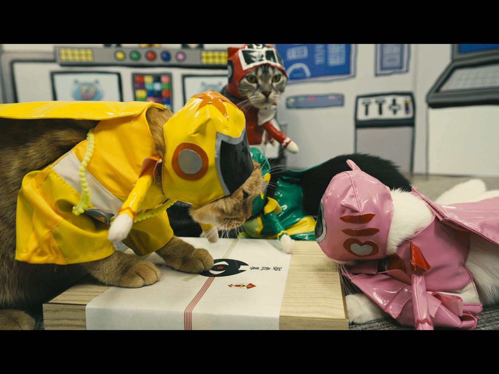 Amazon Co Jp ネコ戦隊 びたたまを観る Prime Video