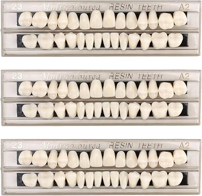 Gments 84Pcs Fake Teeth Denture Kit Upper Lower Acrylic Resin A2 Shade