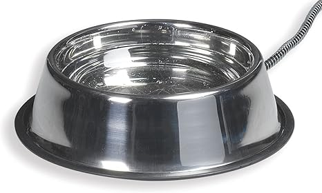 spray to keep dogs from marking