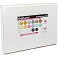 PanPastel Artist Pastels by GOLDEN, Metallics, Pearlescents & Mediums Set, 17 Color, Professional Artist Pastels, Unique Pan Format (cake-like)