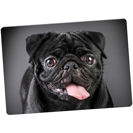 China Asian Love Pug perros Imán para nevera, Happy Black Pug ...