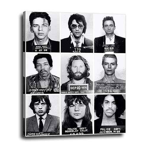 photo Musician Mugshots musician mugshots canvas wall decor 16x20 vintage poster print gift for music fans prince frank sinatra david bowie mick jagger elvis jim