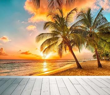 Wall Art Desire Plage Tropicale Papier Peint Coucher De