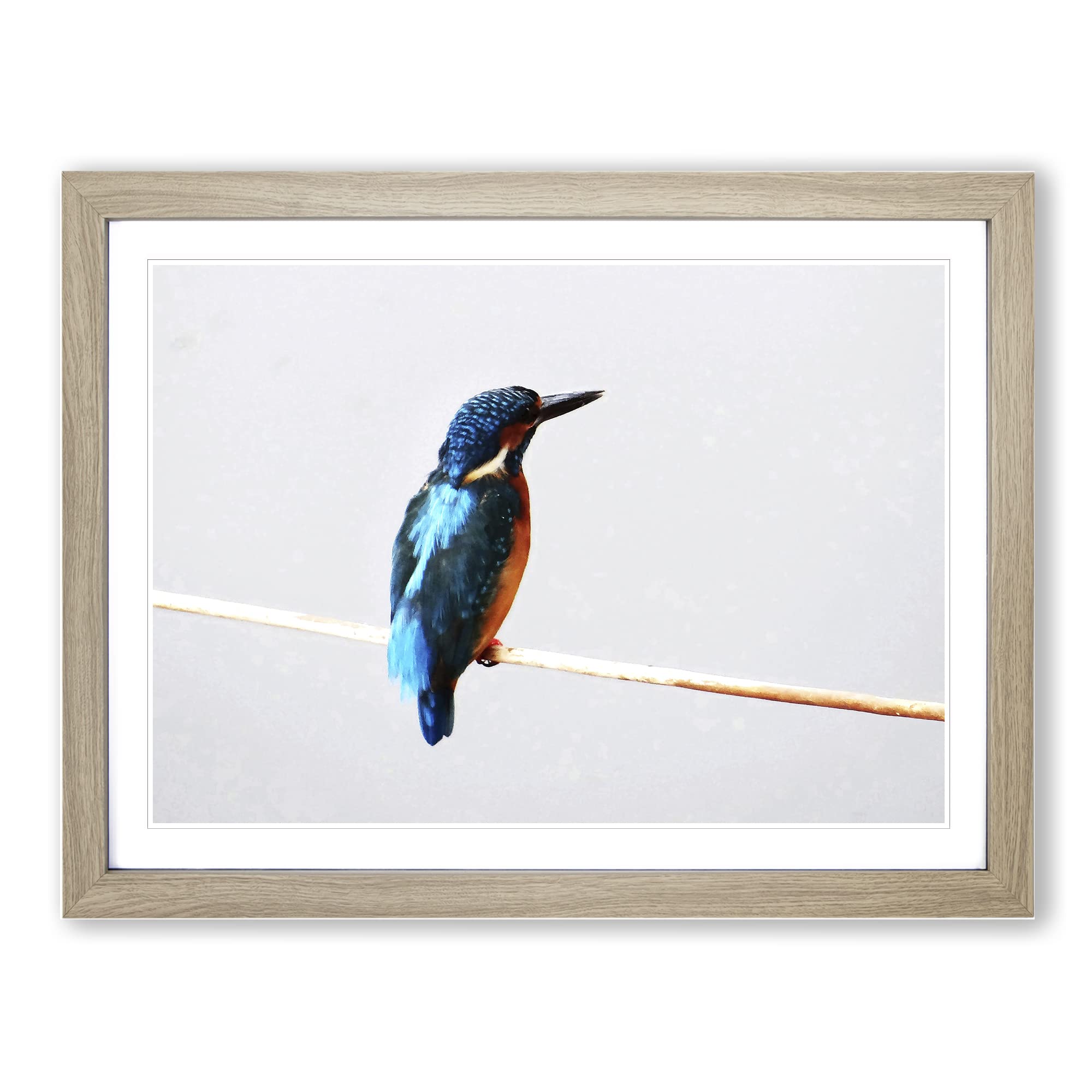 Kingfisher 2 Modern Framed Print | A4 Oak Framed Wall Art | Ready to Hang | Modern Nature Picture | Living Room Bedroom Lounge Office