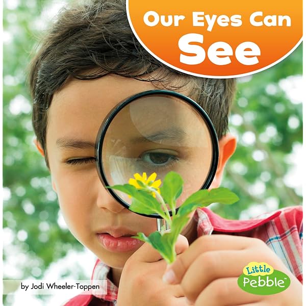 Amazon.com: Our Eyes Can See (Our Amazing Senses): 9781515767190