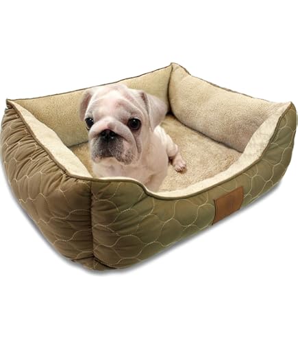 Amazon.com: Circle Dog Bed