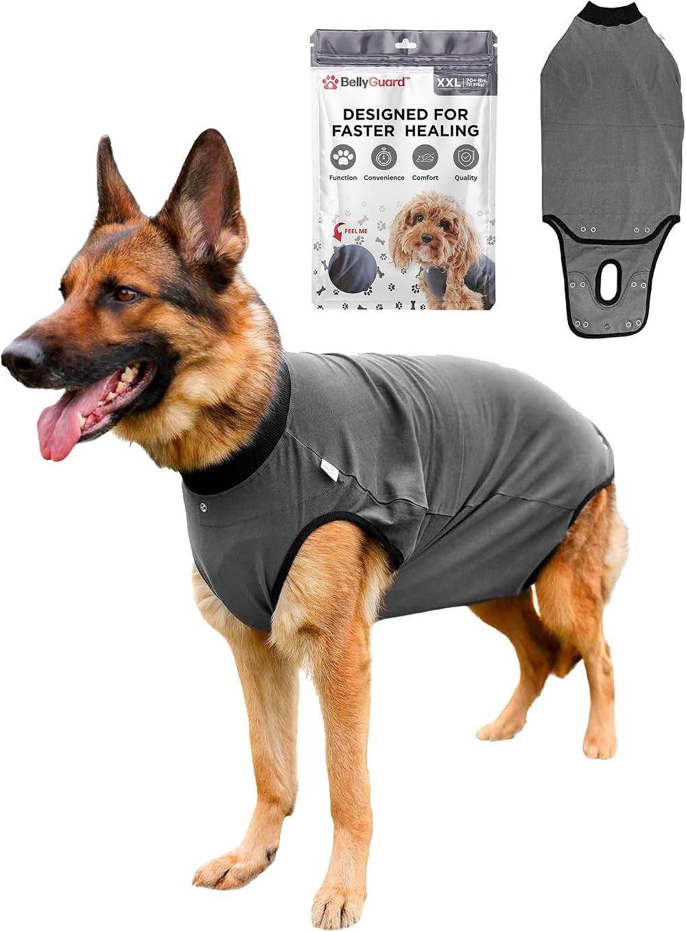 BellyGuard Dog Surgery Recovery Suit for Post-Op Care