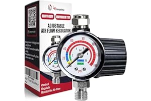 LE LEMATEC Spray Gun Regulator Valve with Gauge, 1/4 NPT Airflow Diaphragm Control up to 140 PSI for Air Compressor, Pressure Hose, HVLP Paint Sprayer, Pneumatic Tools, and Tire Inflator (AR-02)