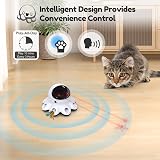 GoldenSun 2-in-1 Automatic Cat Toy for Indoor Cats Black view 5