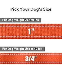 Taglory Dog Leash for Medium Large