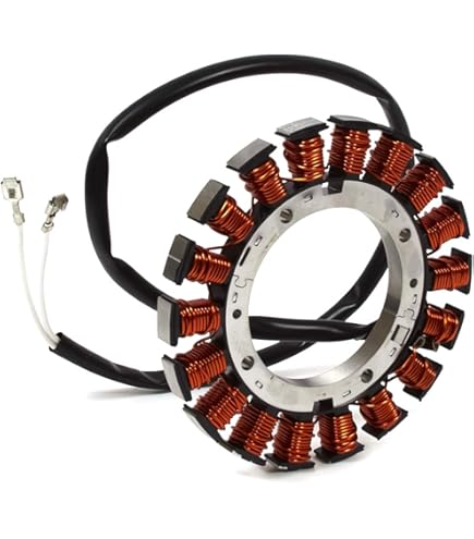 ま～ページ Snapper 5901557 - (ZT, 52