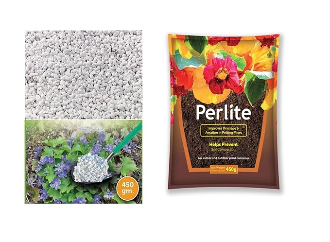 Divine Tree Horticultural Perlite Potting Mix Filler for Organic Gardening (450Gram)