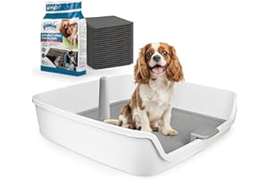 ALL FOR PAWS Dog Pee Pad Holder with Removable Post, 23.6" Indoor Dog Potty Training Tray, Puppy Toilet Litter Box for Small to Medium Sized Dogs