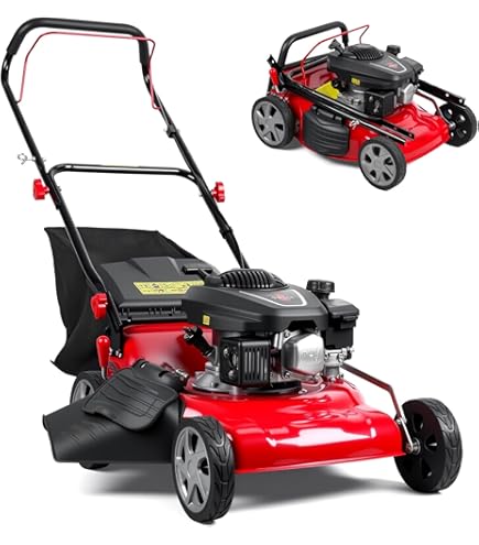 best bagging push lawn mower