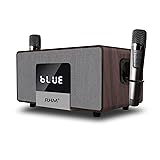 RHM K222 Karaoke Machine with 2 UHF Wireless