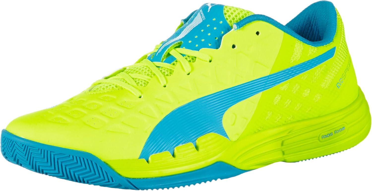 puma evospeed indoor