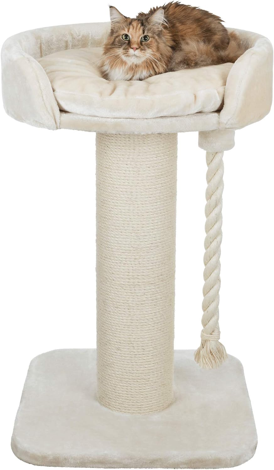 TRIXIE cat tree XXL Klara 39.4 inches in cream, robust cat scratching post for large cats with a cosy elevated lounging area