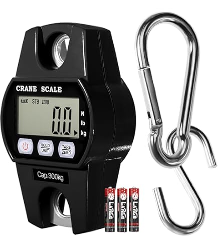 Balance Numérique Portable Salter Brecknell ElectroSamson 10 Kg - Pour Pesage Suspendu