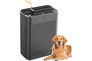 Purificateurs d'air pour la maison - Grande pièce jusqu'à 3000 m² avec filtres lavables, H13 HEPA, entrée d'air double face, 