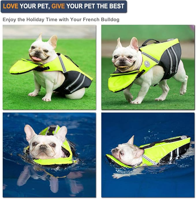 french bulldog life jacket amazon