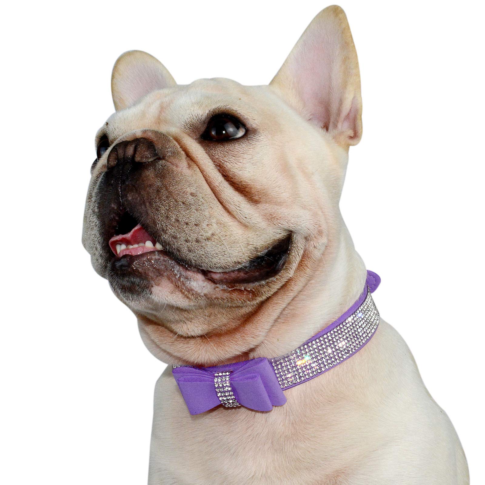 Hifrenchies Cute Crystal Rhinestones Dog Collar for Frenchie, Sparkling Diamonds Soft Suede Leather Butterfly Festival Pattern Dog Pet Collars For Small Medium Dog(L,PURPLE)