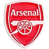 Desert Cactus Arsenal FC Lapel Pins Gunners Holloway Football Soccer Logo Enamel Made of Metal (Pin A)