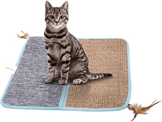 cat claws carpet at door