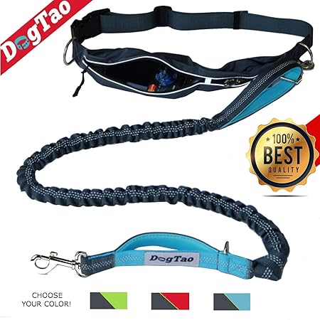 DogTao Joggingleine mit Laufgürtel für Mittelgroße und Große Hunde – Premium Jogging Hundeleine Elastisch, Reflektierend, Was