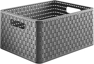 Rotho Country Aufbewahrungskiste 18l in Rattan-Optik, Kunststoff (PP) BPA-frei, anthrazit, A4/18l (36,8 x 27,8 x 19,1 cm)