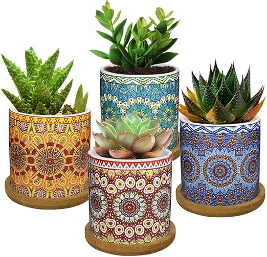Amazon.com: Lewondr 4 Pack Succulent 