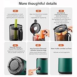 300W Slow Juicer - 13cm Feeding Chute, Portable