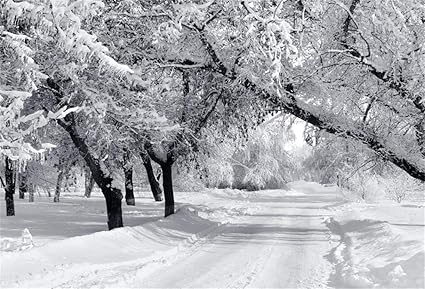 Amazon Com Csfoto 7x5ft Background For Winter Forest Landscape Photography Backdrop Snow Cover Ice World White World Cold Skiing Nature Winter Scene Vacation Tourism Photo Studio Props Polyester Wallpaper Camera