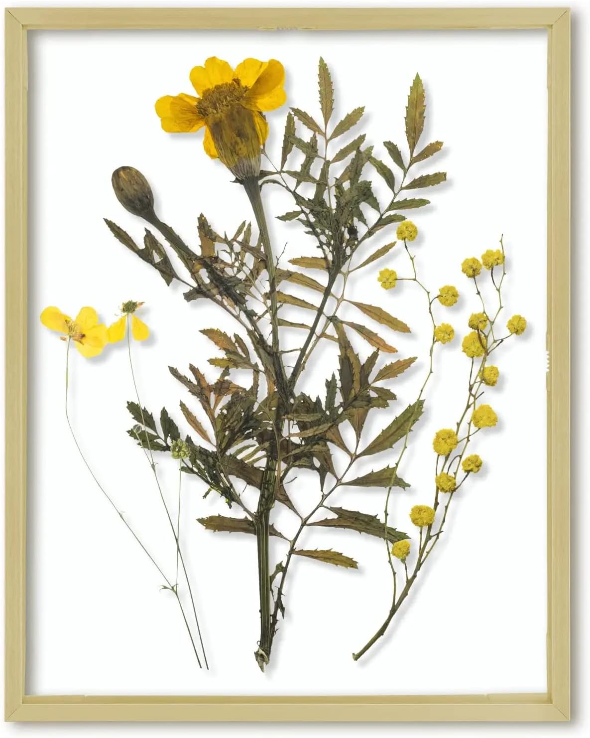 Photo Albums, Frames & Accessories - Frametory, Floating Picture Frame 11x14 - Gold Metal Photo Frame - Real Glass - for Wall Mount or Tabletop Displays