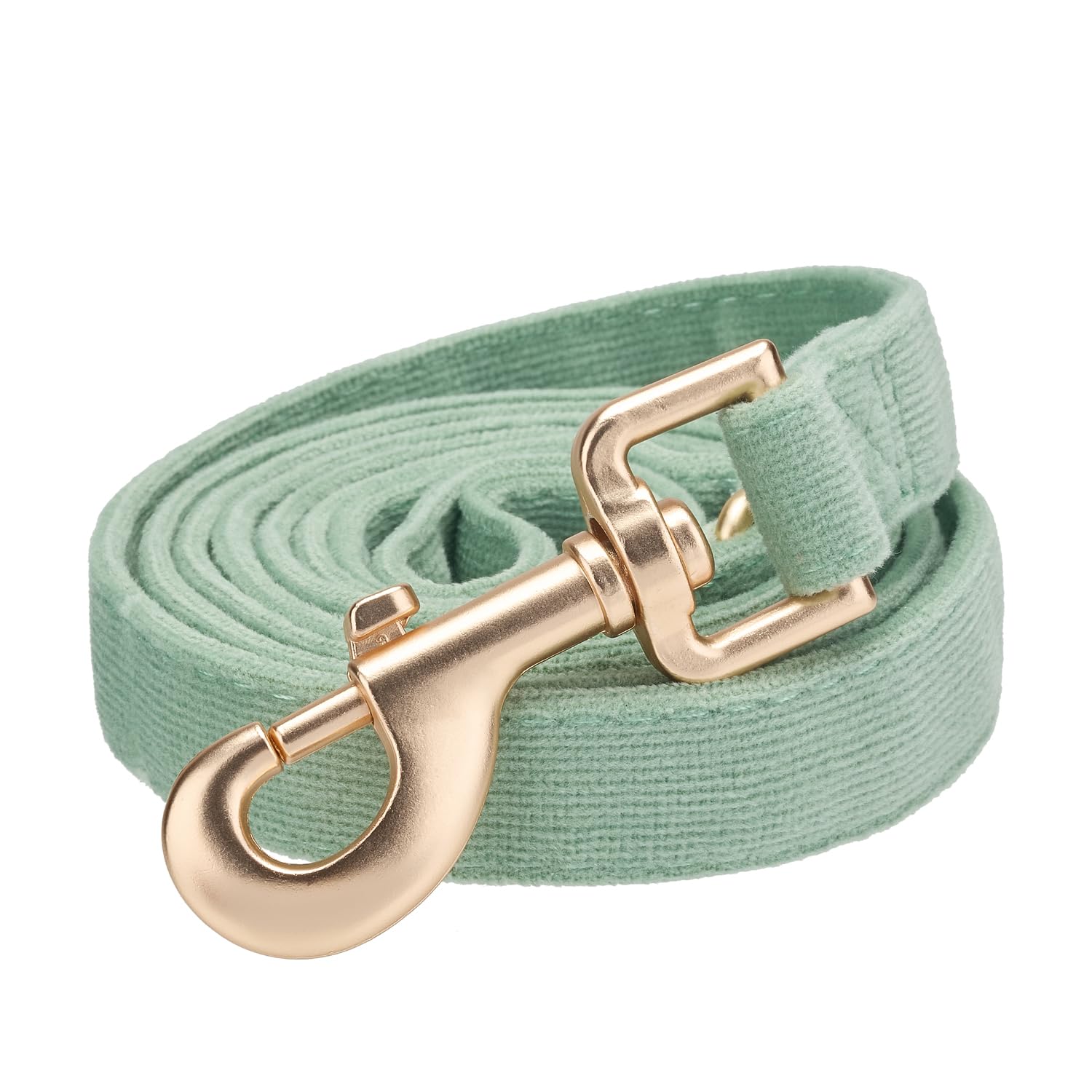 Petiry Soft Dog Lead with Gold Metal Clasp for Puppy Small Dogs,1.5cm x 150cm,Laurel Green,S — image 1