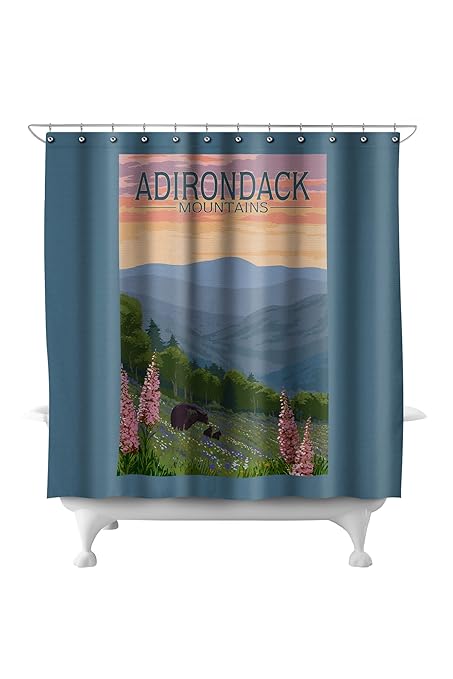 Amazon Com Adirondack Mountains New York Bears And Spring