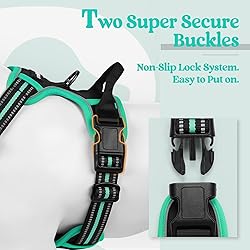 rabbitgoo Dog Harness, No-Pull Pet Harness with 2