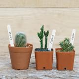 KINGLAKE 100Pcs Plant Labels White Plastic Markers for Outdoor Garden 12x1.3cm view 7