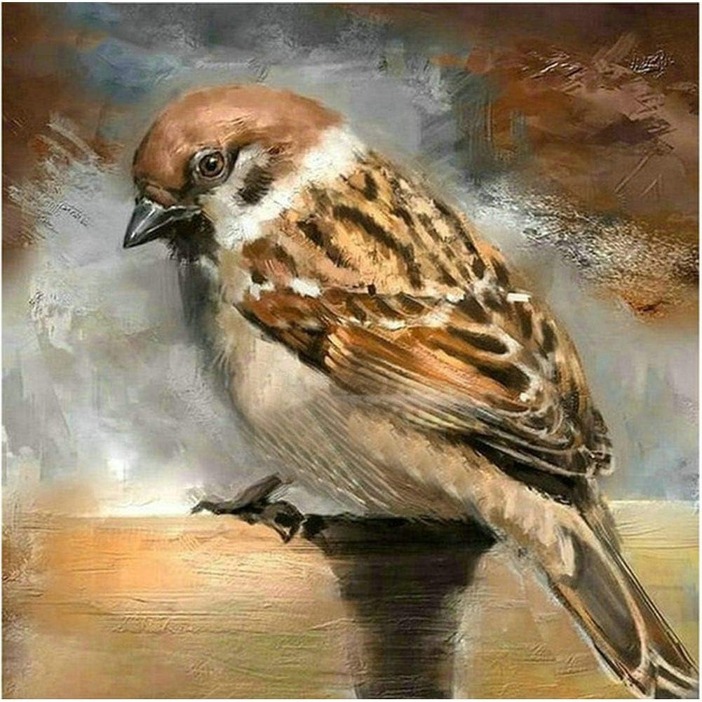 5D Diamond Painting Kits for Adults Kids Full Drill Diamond for Home Wall Decor A Sparrow 11.8x11.8in 1 Pack by Cenda