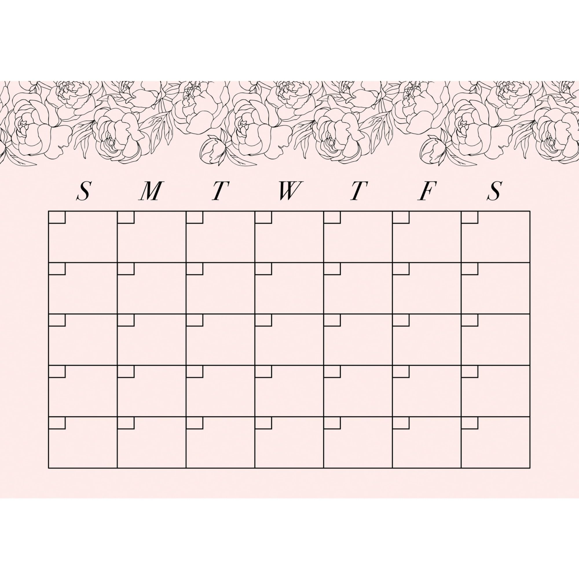 RoomMates RMK4877SCM Blush Peony Monthly Calendar Dry Erase Peel and Stick Wall Decals
