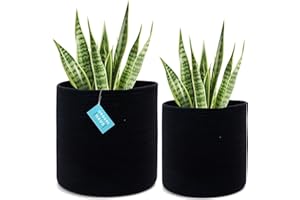 OrganiHaus 2-Pack Black Basket for Plant Pots, Woven Vase, Rope Plant Baskets Indoor, Flower Pot Covers Wraps, Fiddle Leaf Fig Pot, Decorative Cachepots Jute Basket Planters, (10 & 12 inch)
