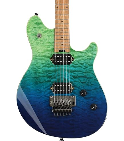 Amazon.com: EVH Wolfgang Standard QM Electric Guitar - Northern