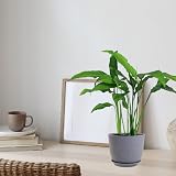 PROFIKLA Plastic Plant Pots Set of 3 Grey Speckles 16cm 18cm 20cm with Saucers view 4
